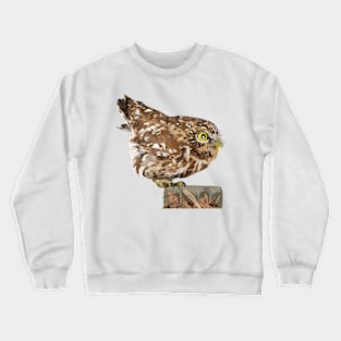 Owl Crewneck Sweatshirt